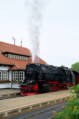 Fototapeta na wymiar Die Brockenbahn im Bahnhof Westerntor in Wernigerode