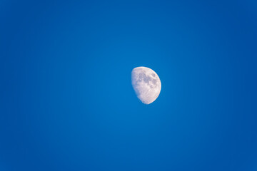 Naklejka na ściany i meble Beautiful half moon on the blue clear sky