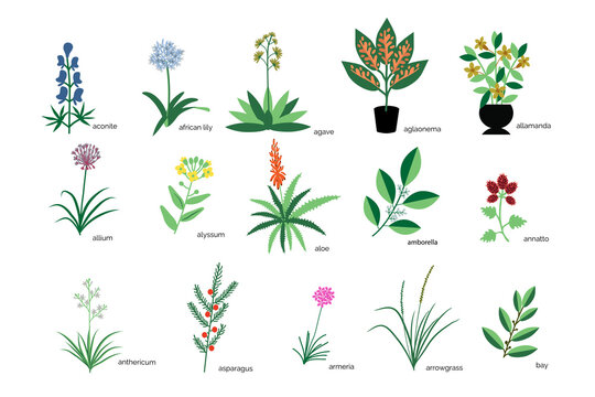 Plants icons collection