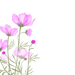 Obraz na płótnie Canvas Garden landscapes, summer and spring flower bed.Vector illustration spring and summer garden flowers isolated on white.