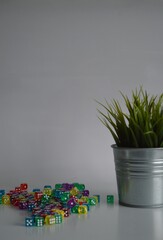 plastic arcylic d6 six sided die dice with plant in bucket