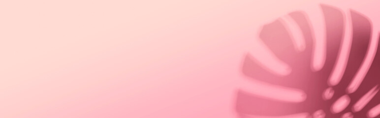 Shadow background of tropical monstera leaf - flat lay © Tierney