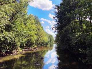 Fototapeta na wymiar Beautiful landscape of river with green trees. Water in sunny weather. Concept of nature background.
