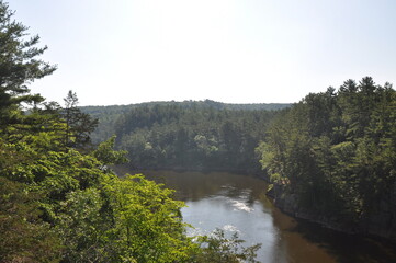 Obraz premium river in the forest