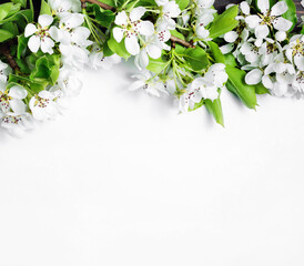 Blank background and spring flowers. Copy space for your text. Flat lay.