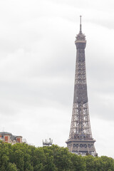 Fototapeta na wymiar View of the eiffel tower in paris
