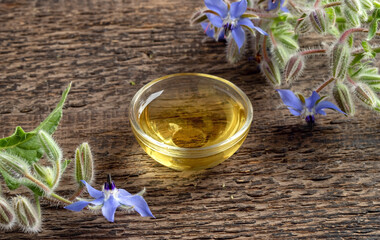 A bowl of borage oil with fresh borage plant
