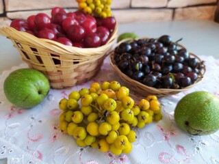 Food fruit and berry still life cherry in a basket black currant in a basket plate unripe yellow rowan green walnuts