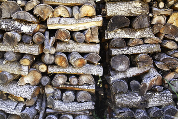 Wood logs for firewood