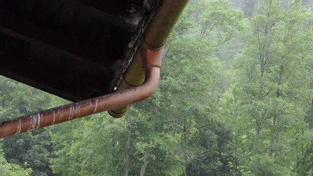 Heavy rain on the roof and in the copper gutter with a copper rain pipe of a house in the forest.