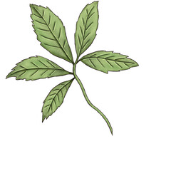 green leaves decor 300 dpi digital art