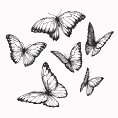 Foto auf Acrylglas Schmetterlinge im Grunge Vektor-Vintage-Set von Schmetterlingen mit verschiedenen Flügelpositionen im Gravurstil. Handgezeichnete Abbildung der Nymphalide isoliert auf weiss.