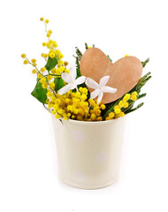 Bouquet of mimosa (acacia) flowers in the bucket isolated on a white background.