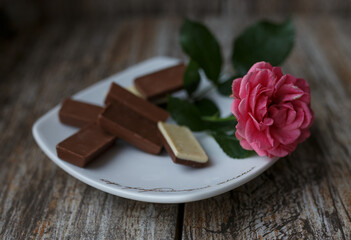 chocolate cake with mint