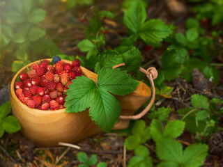 Tasty wild strawberries in the wooden cup.