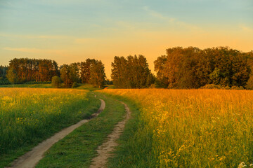 Sunset in the countryside with the curved road. Summer natural background