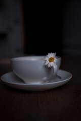 white plate with flowers