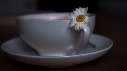 Obraz na płótnie Canvas cup of tea with daisy