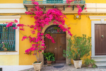 Italian house exterior with bougainvillea flowers on the wall around the doors in town Positano,...