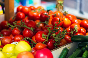 Organic and healthy red cherry tomatoes on the market