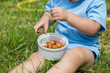 The boy holds in his hands a ripe strawberry
