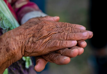 Fototapeta premium Human old hand – Stock Image