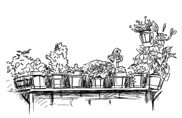 Freehand drawing of flower pots with indoor plants in row on a shelf