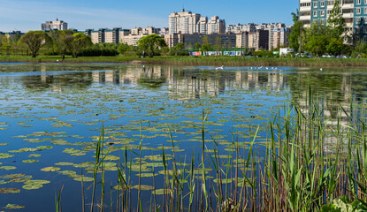 Fototapeta na wymiar pond, lake, grass, beautiful, city, green, background, tree, nature, park, reflection, water, beauty, blue, fingers, house, neighborhood, river, sky, spring, summer, architecture, building, exterior, 
