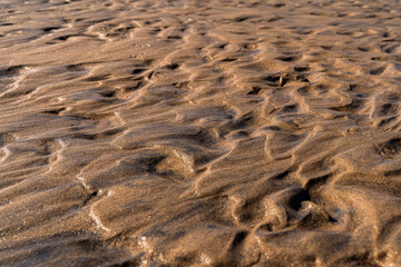 A structure made of wet sand with a reflection of the sun on the beach close-up with space for text. Background of sand in sunlight.