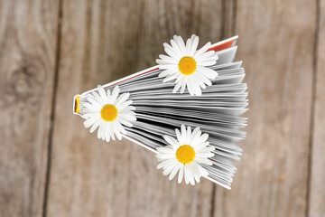 Obraz premium The side of an open book with daisies between the pages on a wooden background.