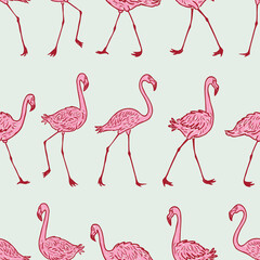 Seamless pattern of walking cartoon pink flamingos