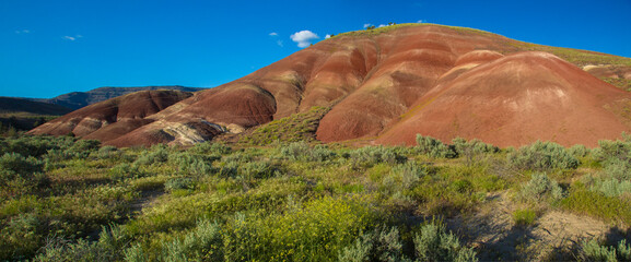 Painted Hills, in the northwest United States, is one of the three units of the John Day Fossil Beds National Monument, located in Wheeler County, Oregon near the town of Mitchell.