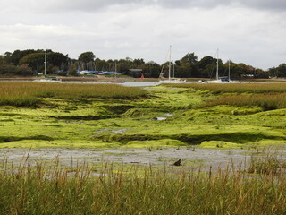 View of the lagoon with a small amount of water
