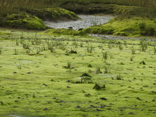View of the lagoon with a small amount of water
