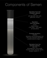 Semen in a test tube. Components of sperm chart. Secretions from testes, prostate, seminal vesicles and cowpers glands with elements like enzymes, spermine, proteins, spermatozoa.
