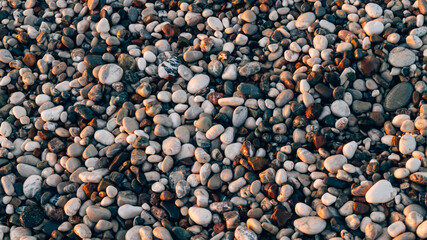 Sea pebbles. Background of pebbles. Wet stones. Multicolored pebbles. 
