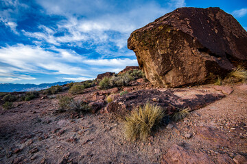 desert plants and huge boulders with distant mountain range in dusk landscape