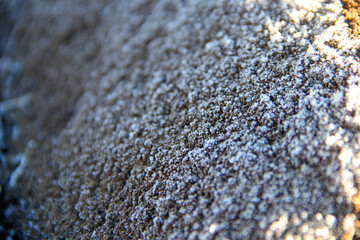 stone texture
