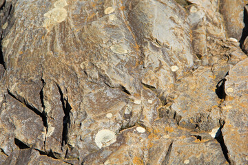 stone wall texture