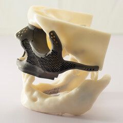 Craneo Mascara Maxilo Facial