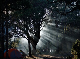 Morning camping tent view in a cold weather in the middle of a forest in a mountain