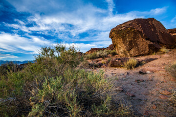 desert plants and boulder under blue sky with white clouds Western background