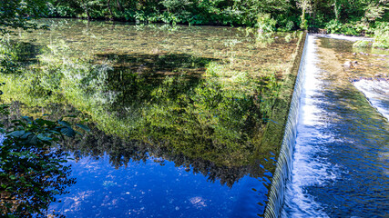 water flowing in the forest