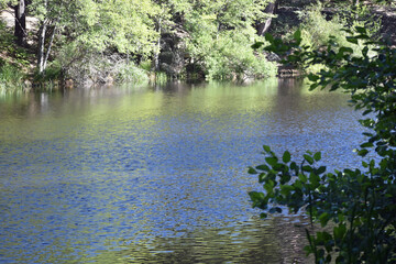 Fototapeta premium Shoreline at Mountain Lake