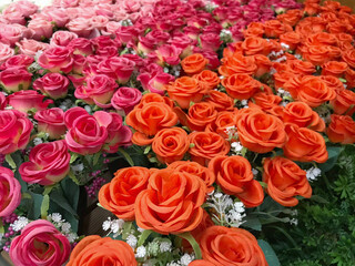 Photos from artificial roses used for making backgrounds.