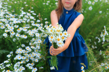 Beautiful girl stands in the field with daisies in summer