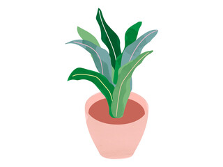 Vector illustration of decorative green houseplants in pot. natural home decor.