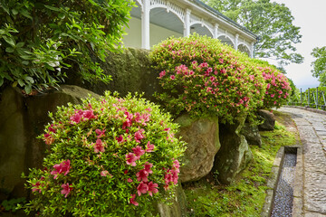 Flowers with Historical building at Glover Garden, Nagasaki, Japan