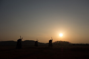 Fototapeta na wymiar Morning landscape with three windmill