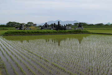 水田の中にある墓地